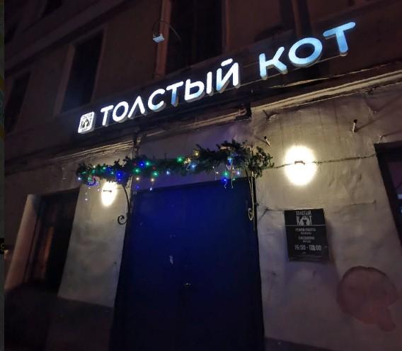 Толстый кот