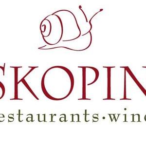 Skopin